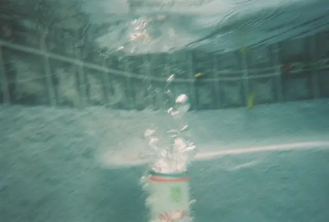 The bubble burst