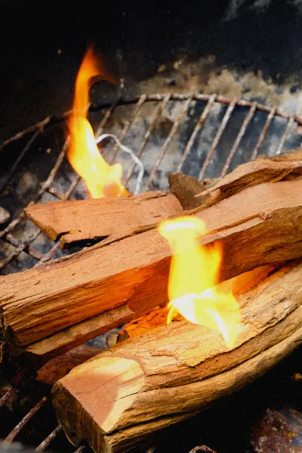 The fire, lit
