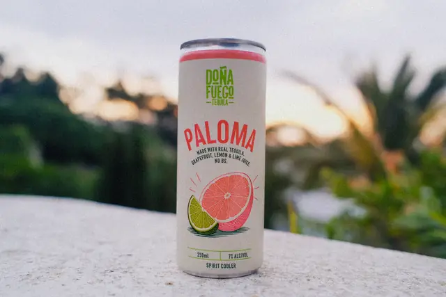 Paloma on the wall, last light